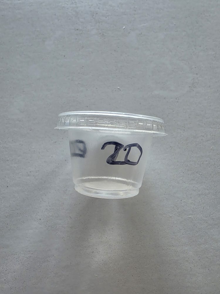 Vaso plástico transparente 1 oz con tapa