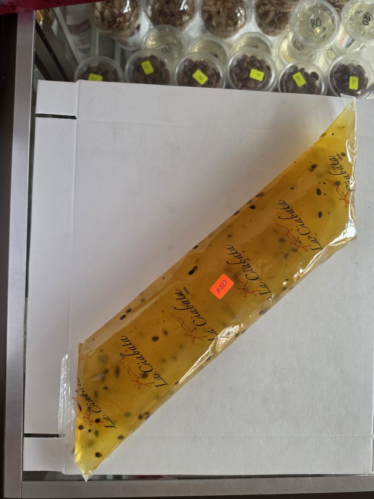 Manga de relleno amarillo transparente con semillas negras (tipo