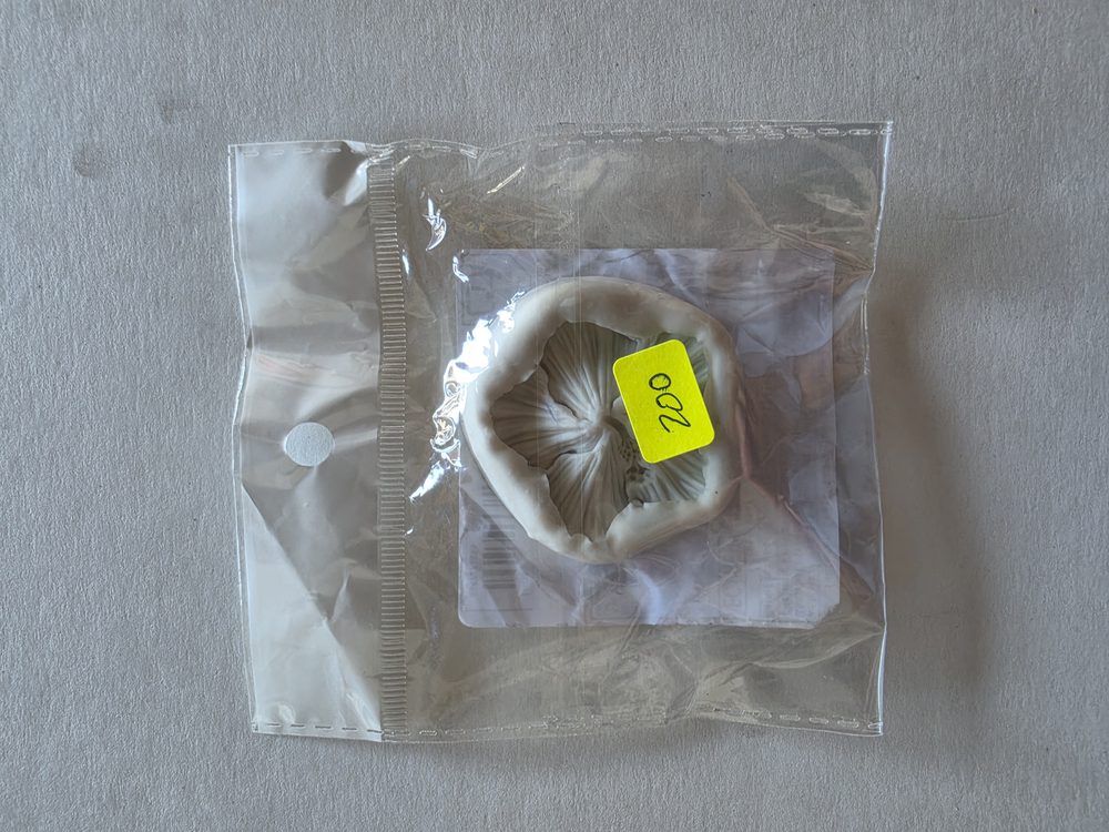 Molde de silicona blanco redondo con flor de pétalos rizados