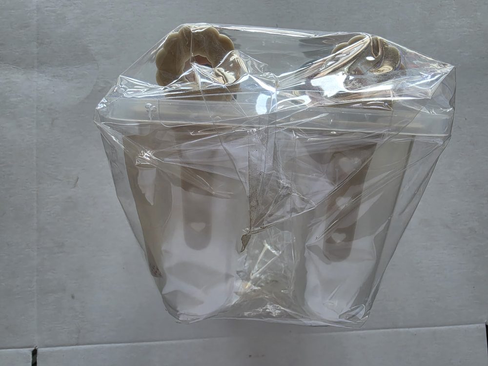 Moldes para paleta